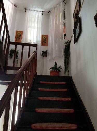 Hostal Pensiunea Liana