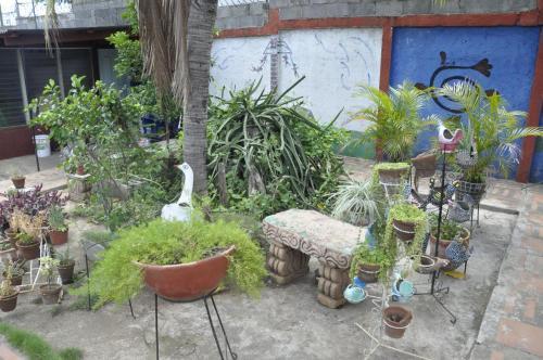 Hostal Esgueva House