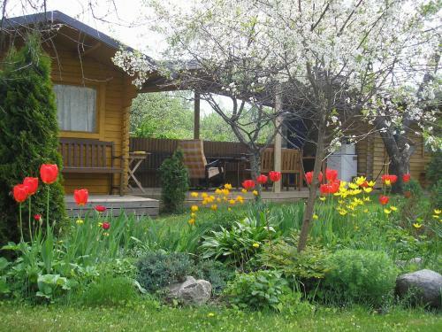 Hostal Kaare Guesthouse