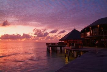 Viviendas Turisticas Coco Bodu Hithi