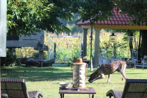 Agroturismo Casa Do Ouro