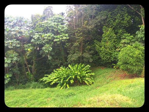 Villa Aluna Ecolodge
