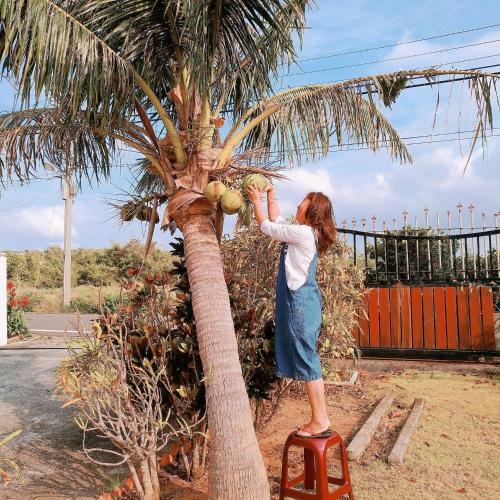 Bed & Breakfast Coconutpalm Home