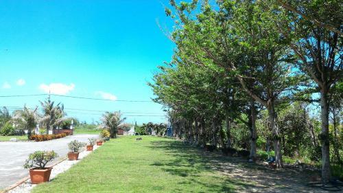 Bed & Breakfast Coconutpalm Home
