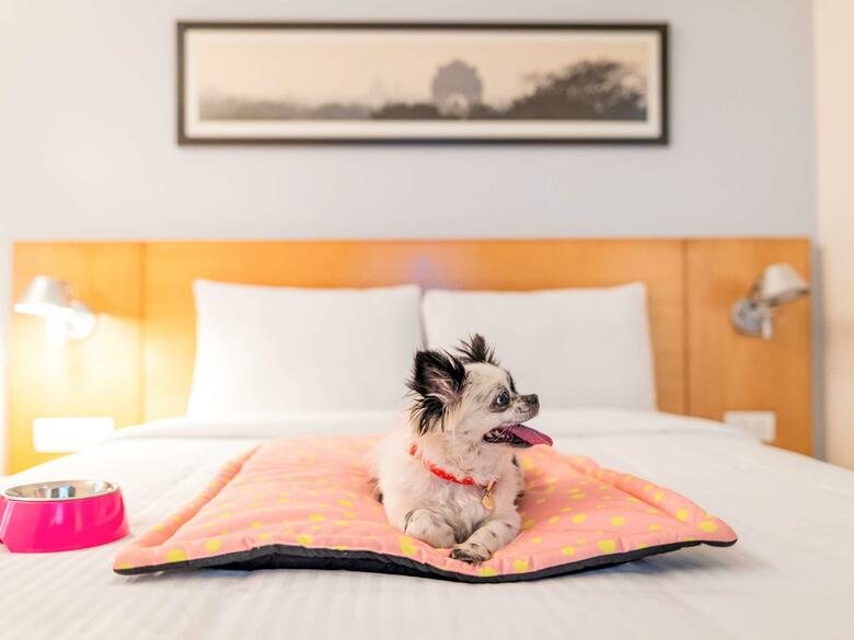 Hotel Ibis New Delhi Aerocity