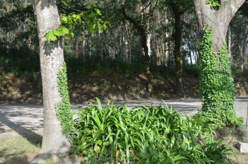 Agroturismo Quinta De Ataide