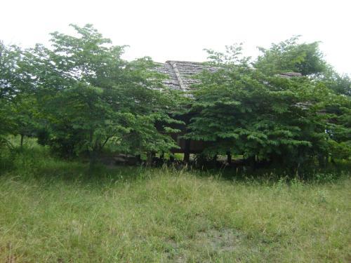 Tembo Tarangire Lodge & Camp