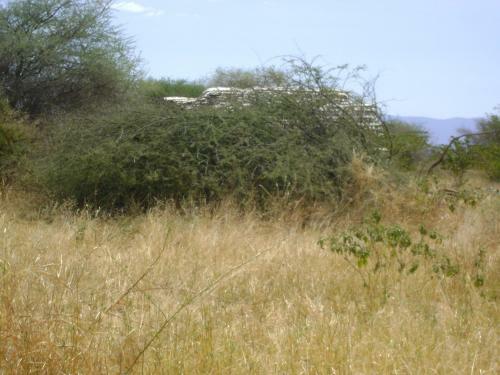 Tembo Tarangire Lodge & Camp