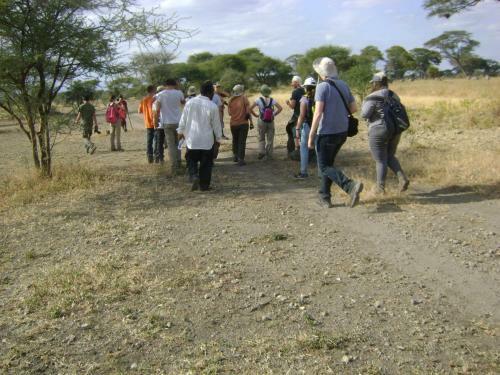 Tembo Tarangire Lodge & Camp