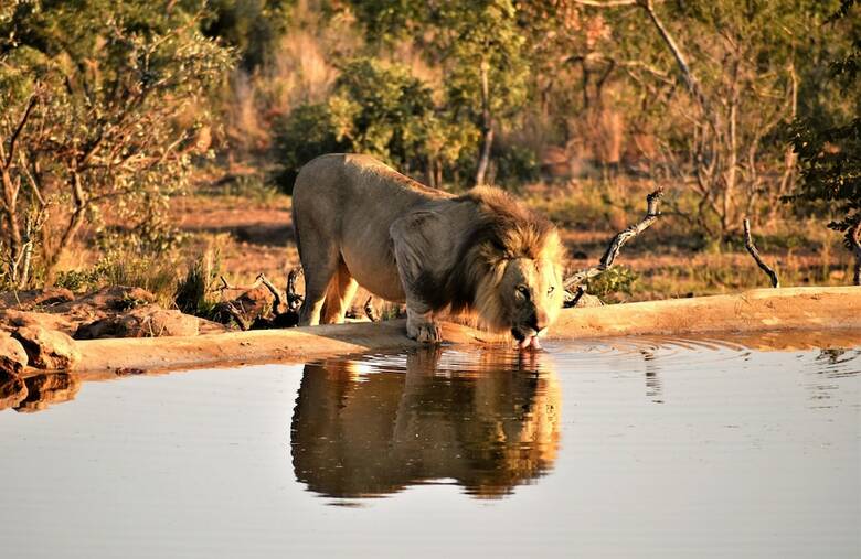 Jamila Game Lodge