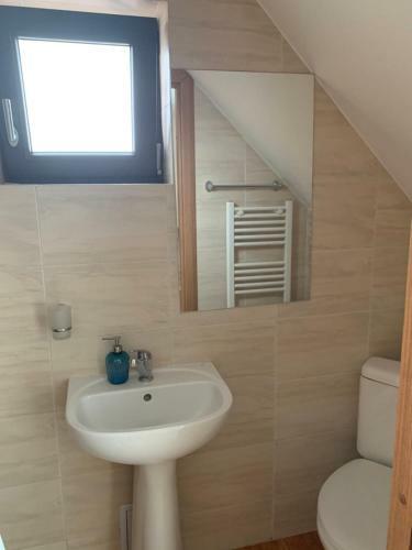 Hostal Pensiunea Haiduc