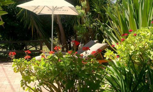 Hostal Malherbe Guesthouse