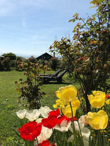 Villa Maison Au Bord Du Lac