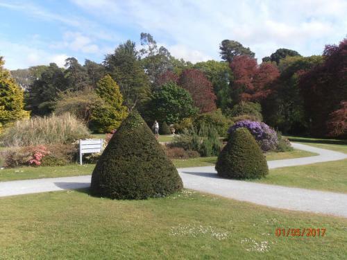 Larkfield House B&B