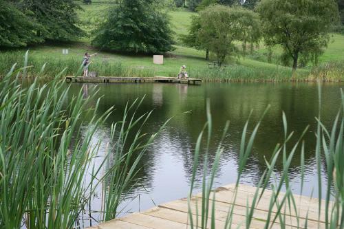 Hotel Midlands Saddle And Trout