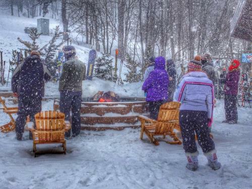 Hotel Canaan Valley Resort State Park