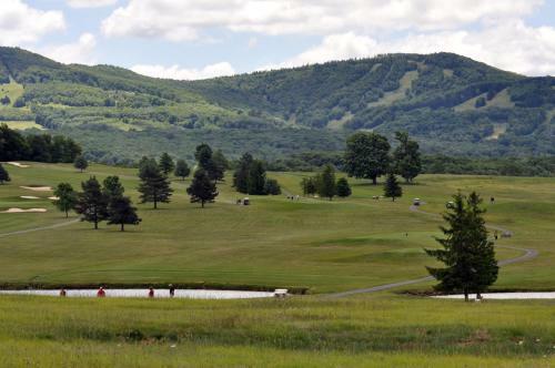Hotel Canaan Valley Resort State Park