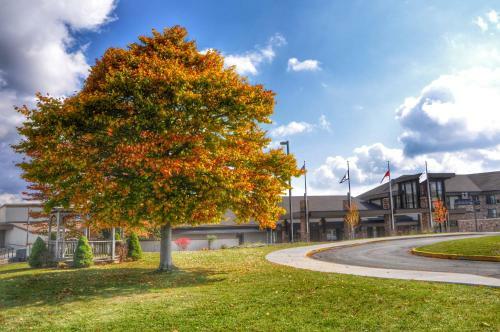 Hotel Canaan Valley Resort State Park