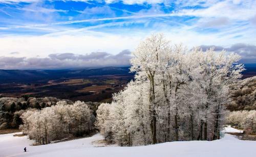 Hotel Canaan Valley Resort State Park