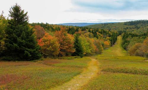 Hotel Canaan Valley Resort State Park