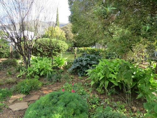 4 Rothman Street B&B