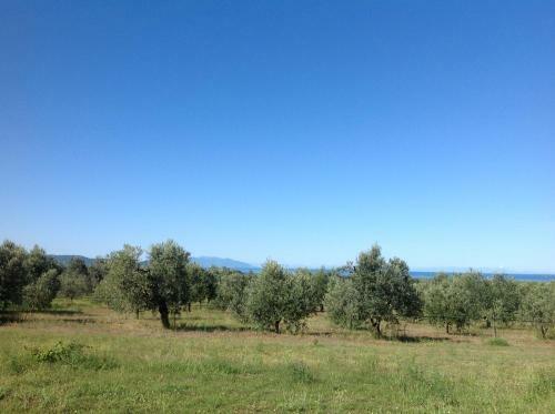 Hostal Agriturismo Podere Campalto