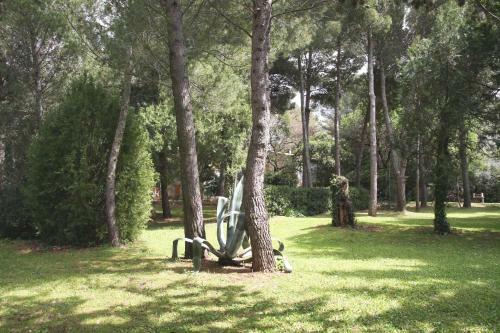 Hostal Agriturismo Podere Campalto