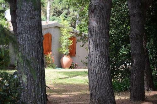 Hostal Agriturismo Podere Campalto
