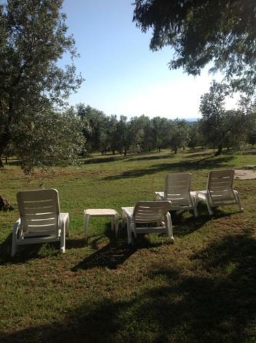 Hostal Agriturismo Podere Campalto