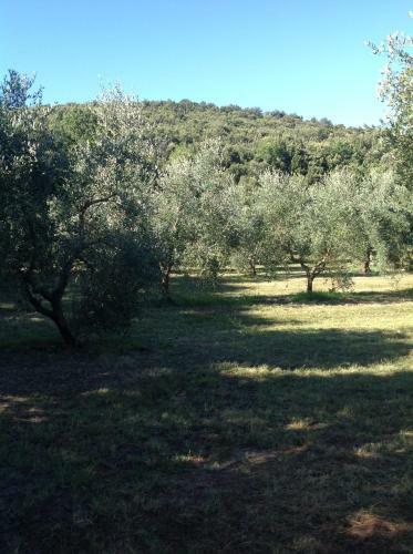 Hostal Agriturismo Podere Campalto