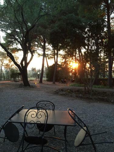 Hostal Agriturismo Podere Campalto