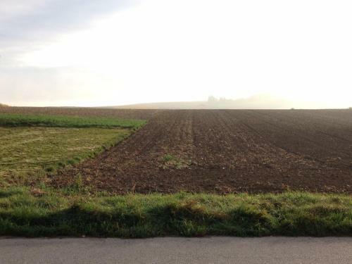 Traubengarten Winkler