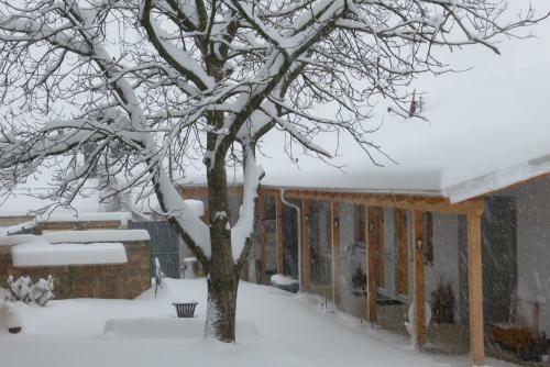 Traubengarten Winkler