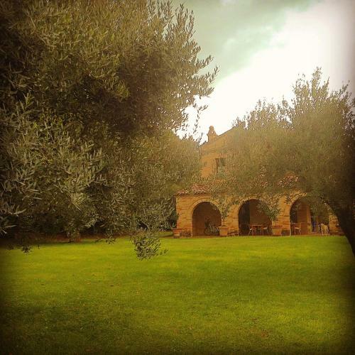 B&B La Casa Tra Gli Ulivi
