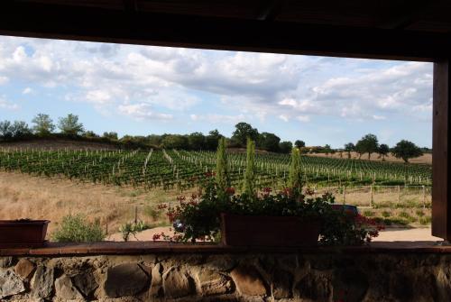 Agroturismo Podere Fingardella