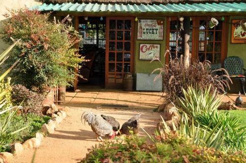 Hostal Blou Windpomp Guest Lodge