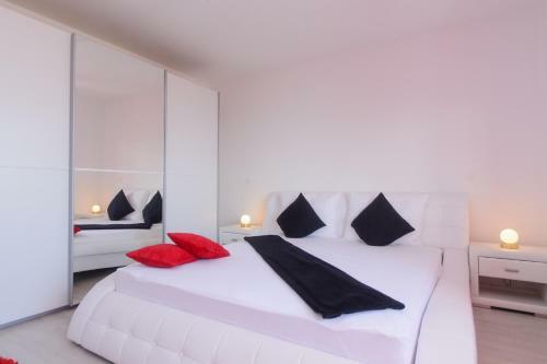 Apartment Cambi