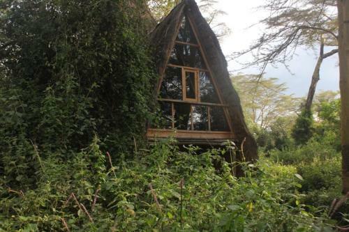 Lodge Oasis Eco Camp
