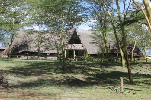 Lodge Oasis Eco Camp