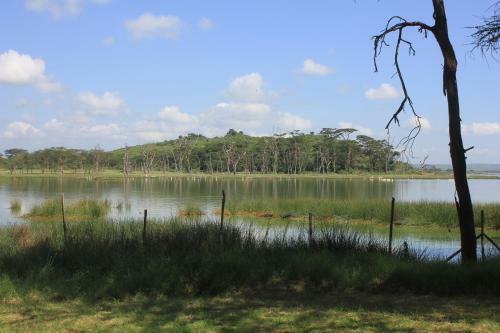 Lodge Oasis Eco Camp
