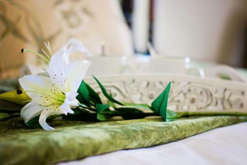 Umthunzi Hotel And Conference