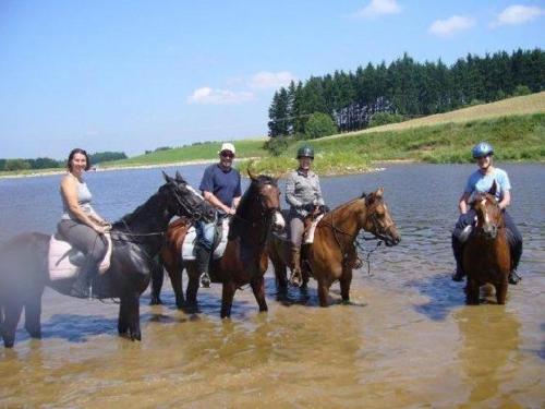 Hostal Q Ranch