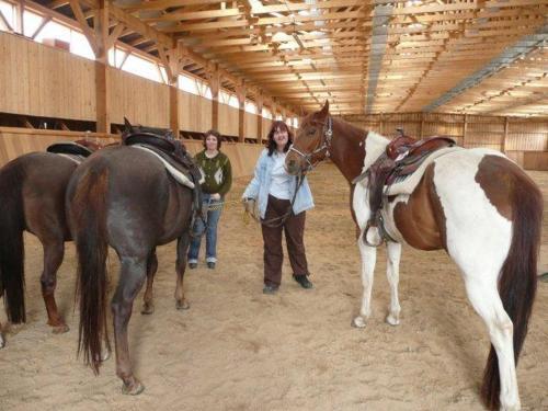 Hostal Q Ranch