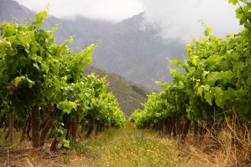 Agroturismo Orange Grove Farm