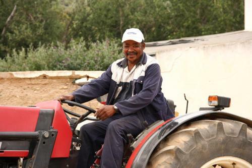 Agroturismo Orange Grove Farm