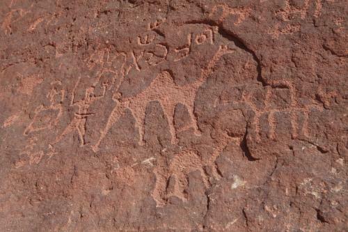 The Bedouin Meditation Camp