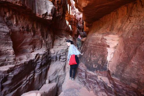 The Bedouin Meditation Camp