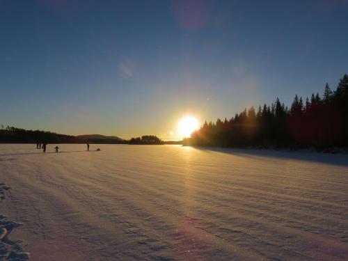 Lodge Tyngsj� Vildmark