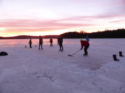 Lodge Tyngsj� Vildmark
