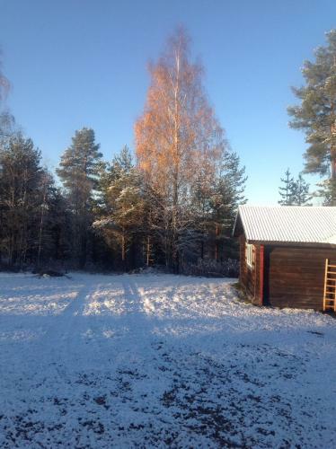 Lodge Tyngsj� Vildmark